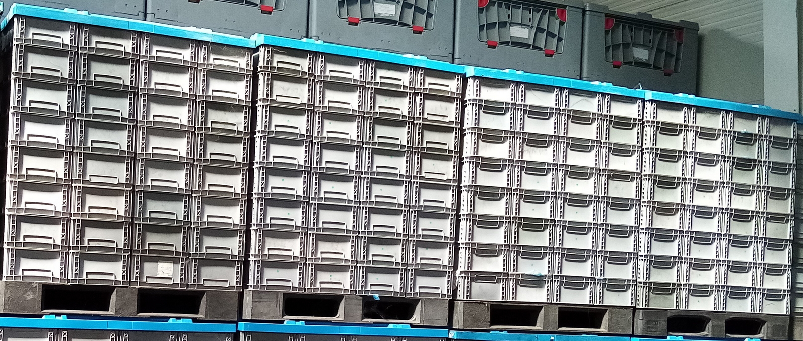 Auer - EG-4317 láda 4